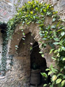 Palazzo Albini - arco delle scale scure