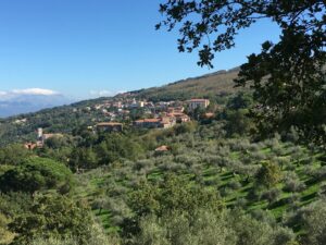 Laureana-panorama